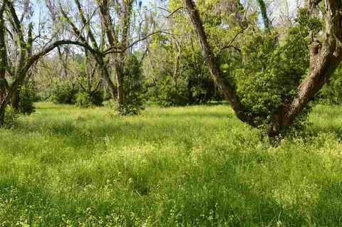 tbd Devane #-, Monticello, FL 32344 photo 7
