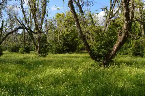 tbd Devane #-, Monticello, FL 32344 photo 3