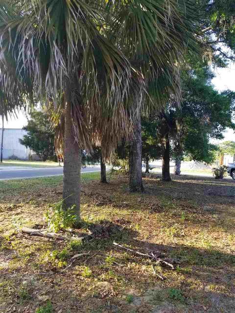 110 SE 14th St, Steinhatchee, FL 32359 photo 24