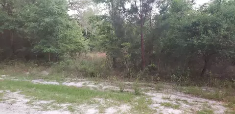 NNNN Mcphaul Road #0, Crawfordville, FL 32327