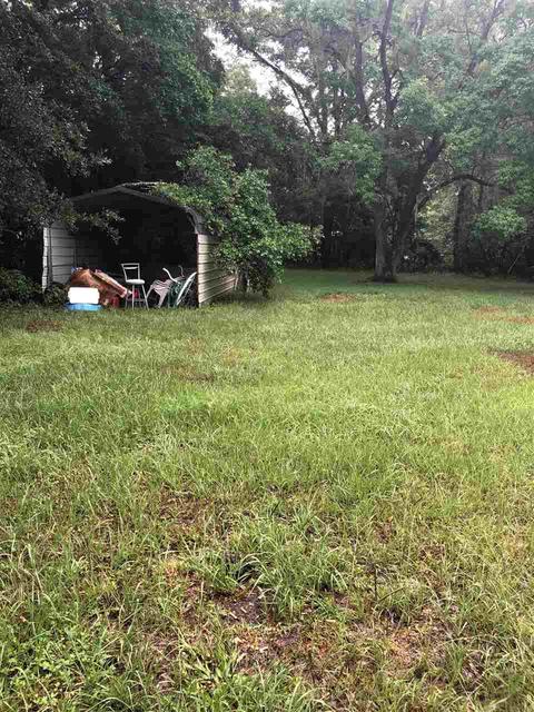 304 Puckett Rd, Perry, FL 32348 photo 5