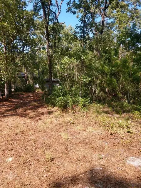 17520 E Royal Oak Dr, Perry, FL 32348 photo 12