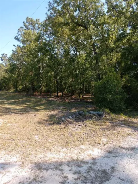 17520 E Royal Oak Dr, Perry, FL 32348 photo 17