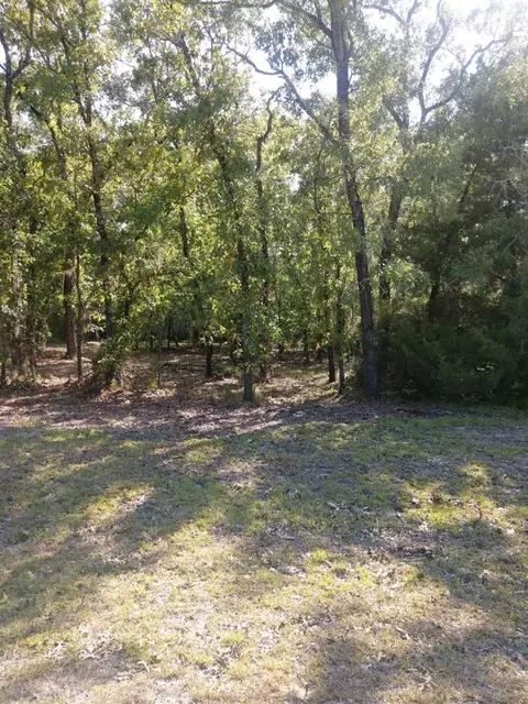 17520 E Royal Oak Dr, Perry, FL 32348 photo 18
