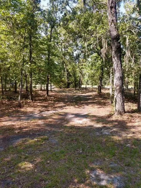 17520 E Royal Oak Dr, Perry, FL 32348 photo 14