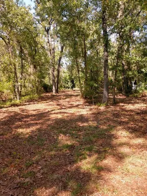 17520 E Royal Oak Dr, Perry, FL 32348 photo 11