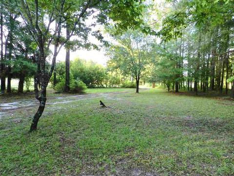 123 Lacour Ln, Perry, FL 32348 photo 2