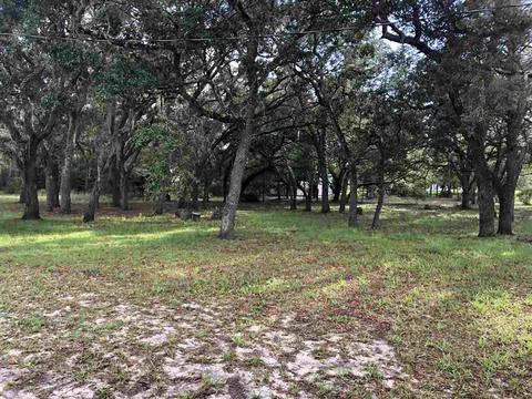 15550 E Royal Oak Dr, Perry, FL 32348 photo 7