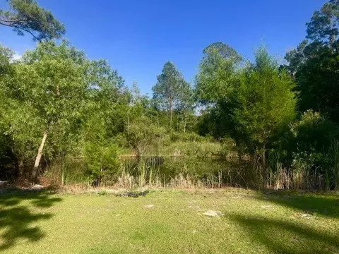 87 Dickson Bay Rd, Panacea, FL 32346 photo 18