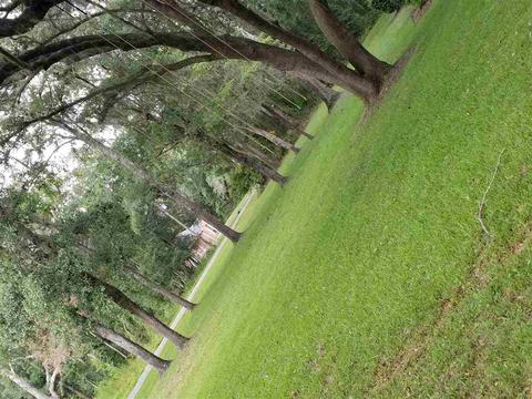 2369 Canopy Ln, Perry, FL 32347 photo 35