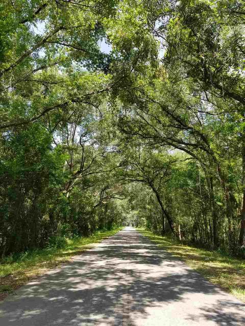 2369 Canopy Ln, Perry, FL 32347 photo 33