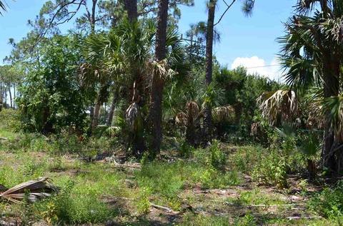393 Cedar Island Rd, Perry, FL 32348 photo 19