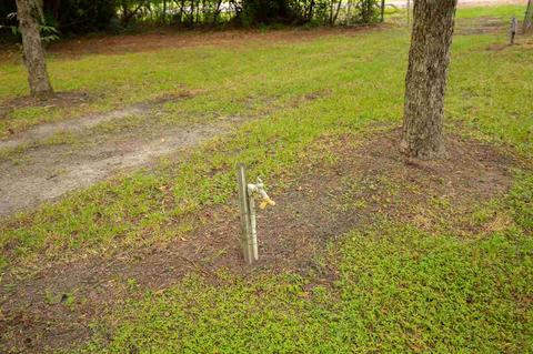 120 E Pace Dr, Perry, FL 32347 photo 10