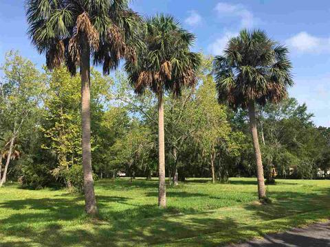 44 Mock St #TOWN OF ST MARKS, Saint Marks, FL 32355 photo 1
