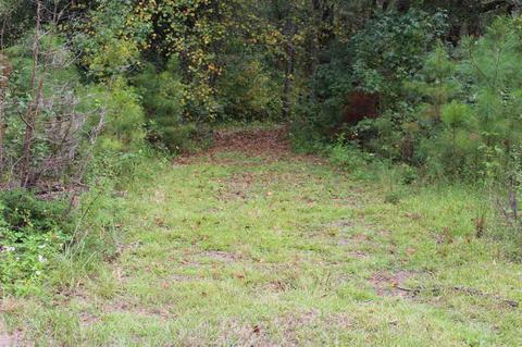 760 Backloop Rd, Havana, FL 32333 photo 4