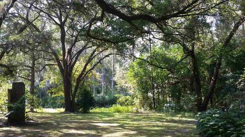 2469 N Hwy 221, Perry, FL 32347 photo 9