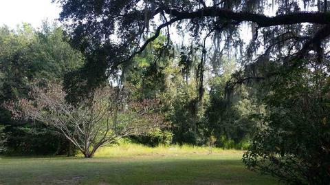 2469 N Hwy 221, Perry, FL 32347 photo 10