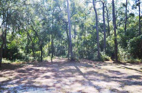 8488 Beach Rd, Perry, FL 32348 photo 19