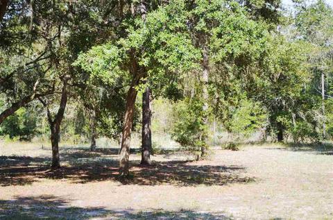 8488 Beach Rd, Perry, FL 32348 photo 18