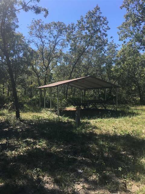 15817 Beach Rd, Perry, FL 32348 photo 5