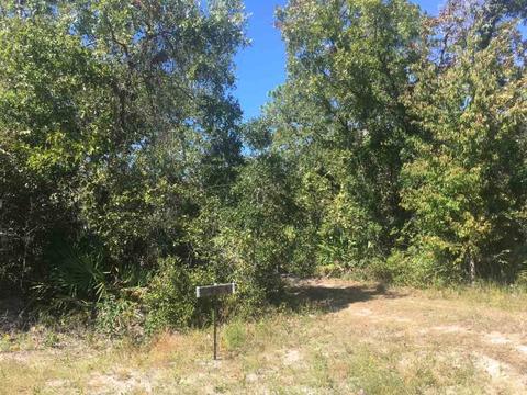 15817 Beach Rd, Perry, FL 32348 photo 2