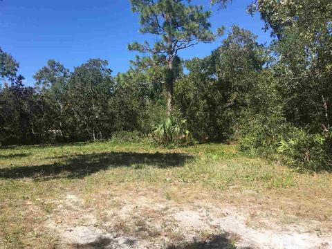 15817 Beach Rd, Perry, FL 32348 photo 4