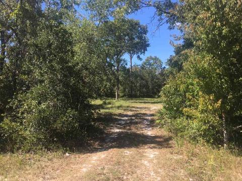15817 Beach Rd, Perry, FL 32348 photo 1