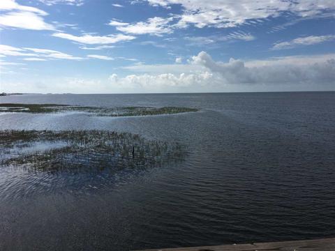 1790 Ezell Beach Rd, Perry, FL 32348 photo 23