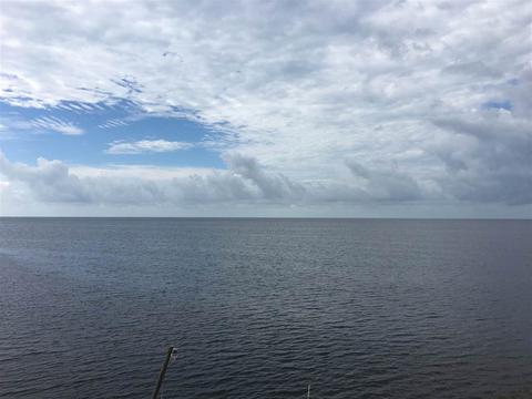 1790 Ezell Beach Rd, Perry, FL 32348 photo 24