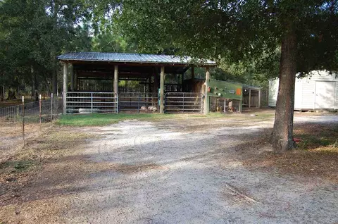1105 NE Rutherford Rd, Lee, FL 32059 photo 28