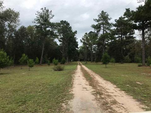 475 Mack Cruce Rd, Perry, FL 32347 photo 2