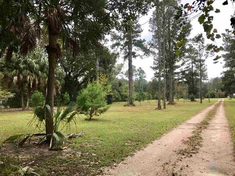 475 Mack Cruce Rd, Perry, FL 32347 photo 1