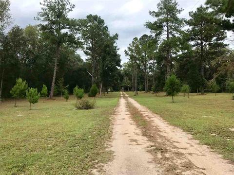 475 Mack Cruce Rd, Perry, FL 32347 photo 3