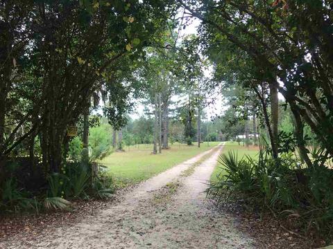 475 Mack Cruce Rd, Perry, FL 32347 photo 5