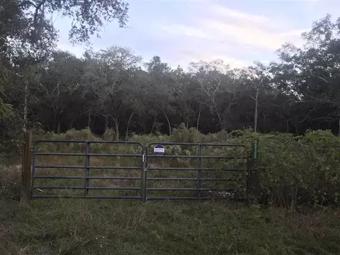20282 Spoonbill Rd, Perry, FL 32348 photo 1