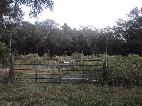 20282 Spoonbill Rd, Perry, FL 32348 photo 7