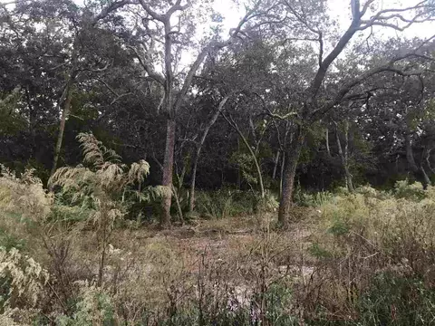 20282 Spoonbill Rd, Perry, FL 32348 photo 4