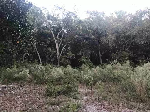 20282 Spoonbill Rd, Perry, FL 32348 photo 3