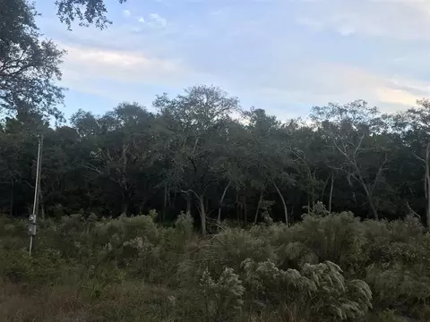 20282 Spoonbill Rd, Perry, FL 32348 photo 5