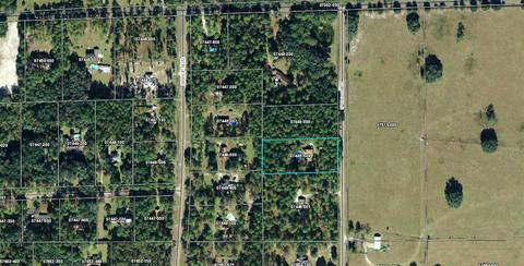 127 Springhill Rd, Perry, FL 32347 photo 2