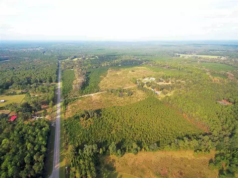 tbd Springfield Rd, Monticello, FL 32344 photo 2