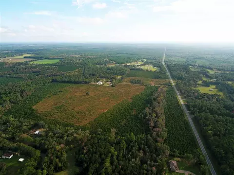tbd Springfield Rd, Monticello, FL 32344 photo 1