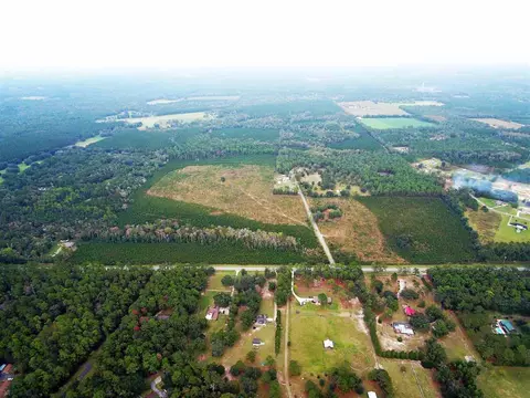 tbd Springfield Rd, Monticello, FL 32344 photo 3