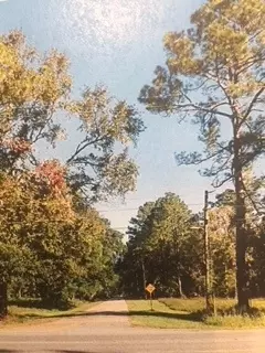 NNN Tapley Trail #TAPLEY TRAIL SUBDIVISION, Tallahassee, FL 32311 photo 2