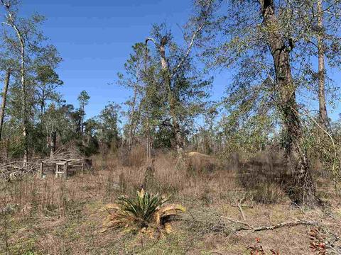 11892 NW Cr 73b, Altha, FL 32421 photo 17