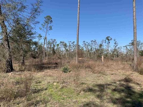 11892 NW Cr 73b, Altha, FL 32421 photo 16