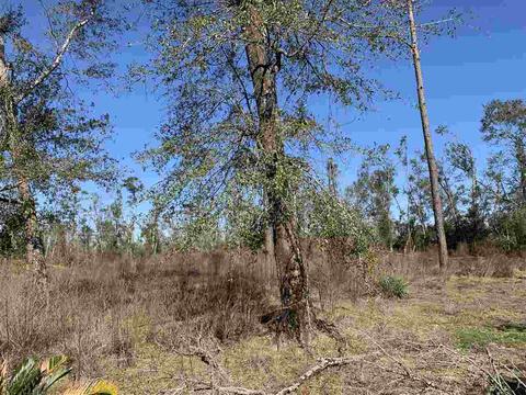 11892 NW Cr 73b, Altha, FL 32421 photo 18