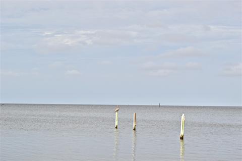 89 Cedar Island Rd, Perry, FL 32348 photo 28
