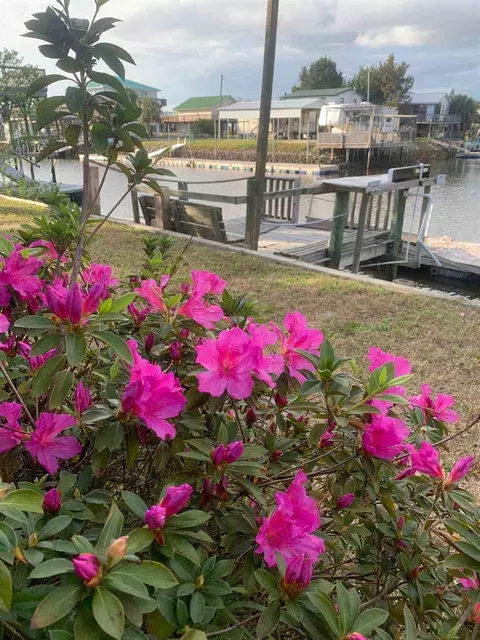 20545 Marina Rd, Perry, FL 32348 photo 16