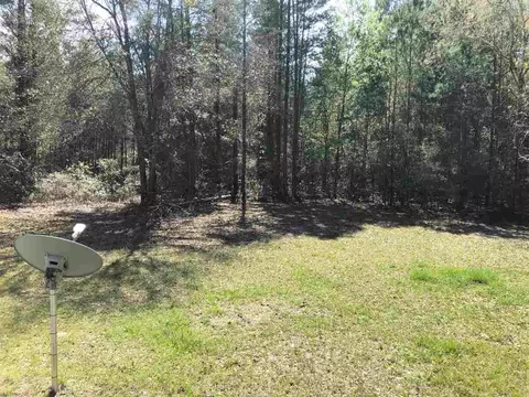 234 SE Black Hawk Dr, Madison, FL 32340 photo 14